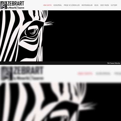 Zebraart